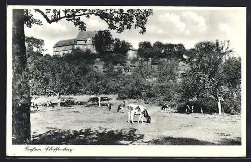 AK Giessen, Schiffenberg