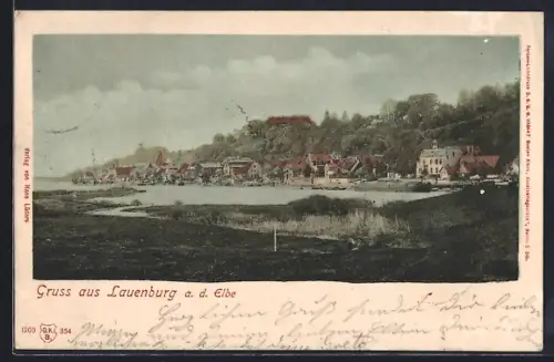 AK Lauenburg a. d. Elbe, Stadtansicht mit Elbufer