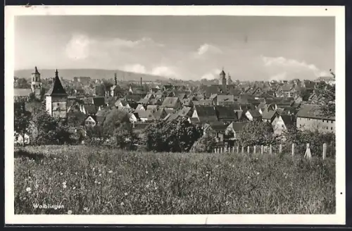 AK Waiblingen, Stadtansicht, Kirchtürme