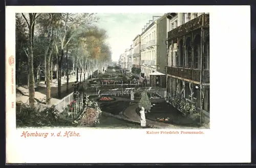 AK Homburg v. d. Höhe, Kaiser Friedrich Promenade