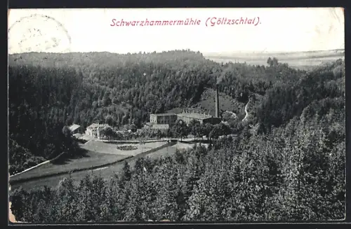 AK Schwarzhammermühle /Göltzschtal, Fabrik, Waldumgebung