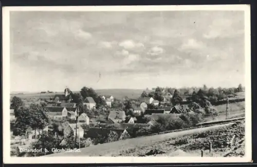 AK Dittersdorf b. Glashütte, Ortsansicht mit umliegenden Feldern