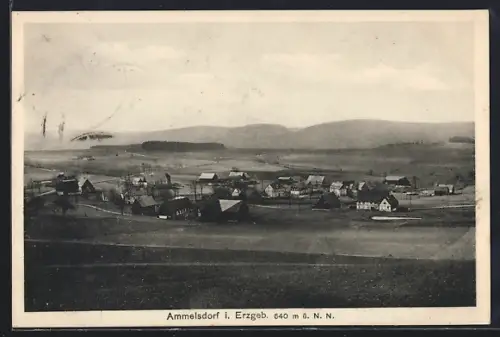 AK Ammelsdorf i. Erzgeb., Ortsansicht, Dorfpanorama, Erzgebirge