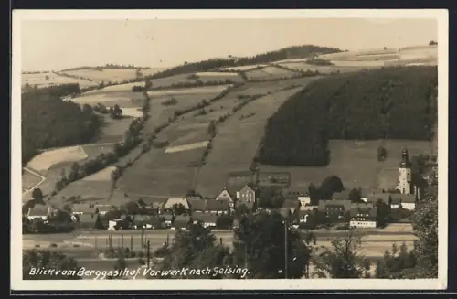 AK Geising, Blick vom Berggasthof Vorwerk, Ortsansicht