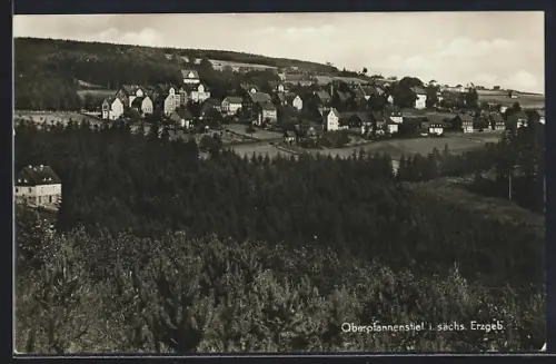 AK Oberpfannenstiel i. sächs. Erzgeb., Ortsansicht, Wald, Häuser
