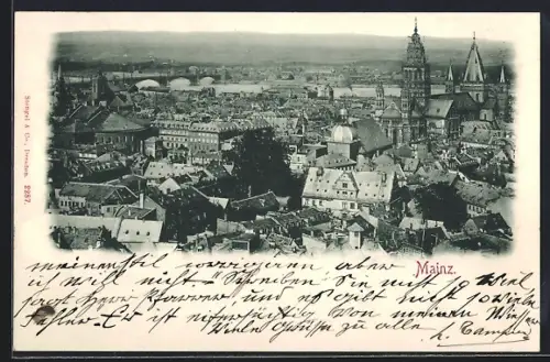 AK Mainz, Stadtpanorama mit Dom und Rheinbrücken