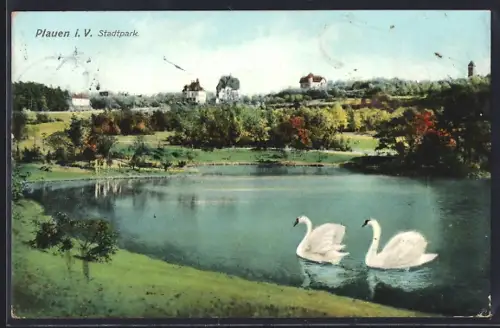 AK Plauen i. V., Stadtpark, Teich mit Schwänen