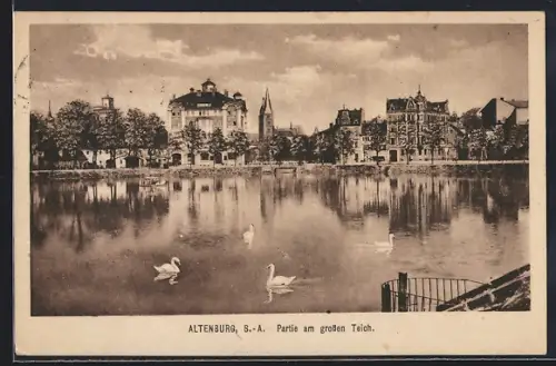 AK Altenburg /S.-A., Partie am grossen Teich