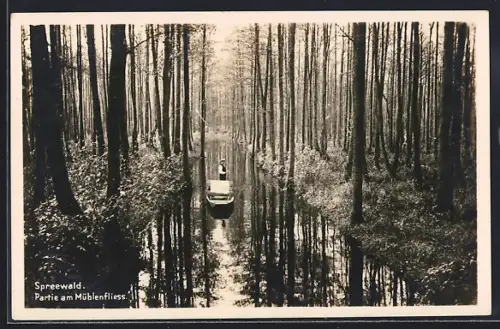 AK Lübben /Spreewald, Partie am Mühlenfliess
