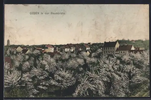 AK Guben, Baumblüte, Stadtansicht