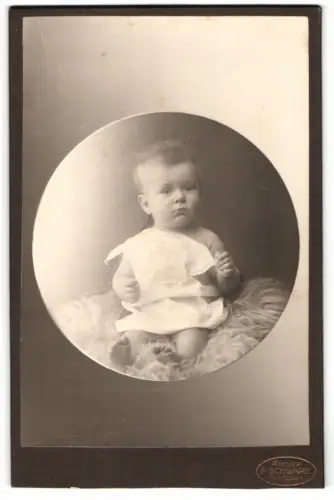 Fotografie F. Schwarz, Potsdam, Brandenburgerstr. 49/52, Porträt eines kleinen Kindes