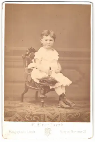 Fotografie F. Brandseph, Stuttgart, Marienstr. 36, Kleines Kind im Stuhl