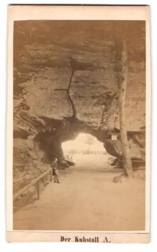 Fotografie Moser Senior, Berlin, Ansicht Bad Schandau, Blick durch den Kuhstall