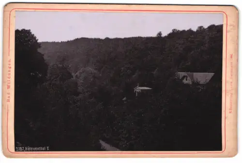 Fotografie Lautz, Darmstadt, Ansicht Bad Wildungen, Blick in das Helenenthal II.