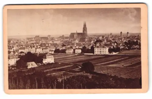 Fotografie Joh. Laifle, Regensburg, Ansicht Regensburg, Blick nach der Stadt mit dem Dom, 1883