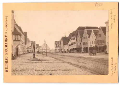 Fotografie Ferd. Schmidt, Nürnberg, Ansicht Neumarkt i. Oberpfalz, Strassenpartie mit Geschäften