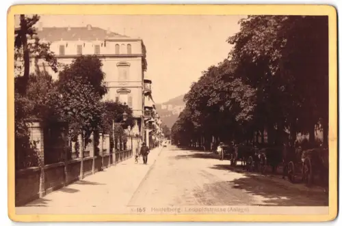 Fotografie Carl Lange, Heidelberg, Ansicht Heidelberg, Blick in die Leopoldstrasse