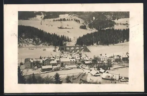 AK Steinhaus a. S., Ortsansicht aus der Vogelschau mit Eisenbahnviadukt