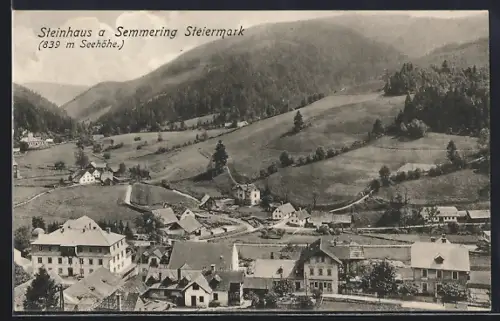AK Steinhaus a. Semmering, Ortspartie mit Bergen