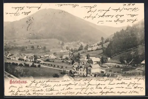 AK Steinhaus, Ortsansicht gegen die Berge