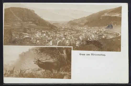 AK Mürzzuschlag, Ortsansicht aus der Vogelschau, röhrender Hirsch