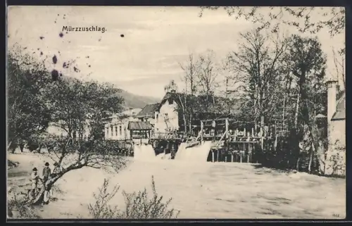 AK Mürzzuschlag, Teilansicht am Ufer