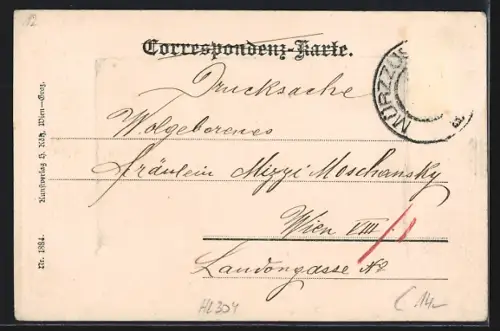 AK Mürzzuschlag, Ortsansicht vom Feld aus