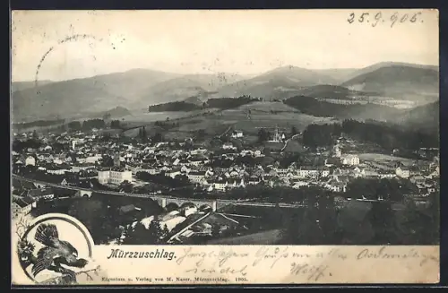 AK Mürzzuschlag, Gesamtansicht mit Kirche und Umgebung