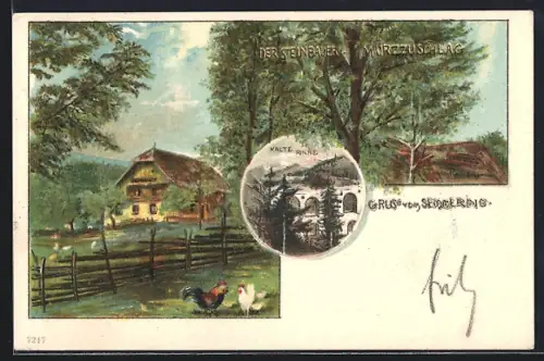 Lithographie Mürzzuschlag, der Steinbauer, Kalte Rinne