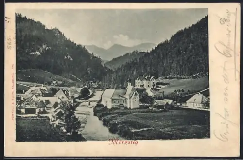 AK Mürzsteg, Ortsansicht am Fluss im Tallauf