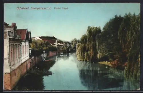 AK Beregszász, Ortsansicht