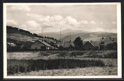 AK Szolyva, Panorama