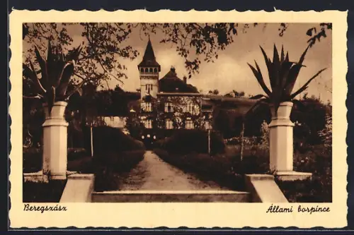 AK Beregszasz, Allami borpince