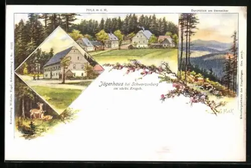 Lithographie Schwarzenberg im sächs. Erzgeb., Gasthof Jägerhaus, Durchblick am Bernecker