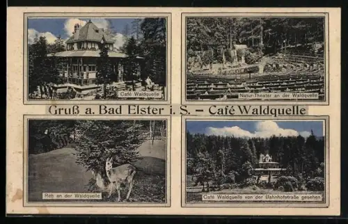 AK Bad Elster i. S., Café Waldquelle, Natur-Theater, Reh an der Waldquelle