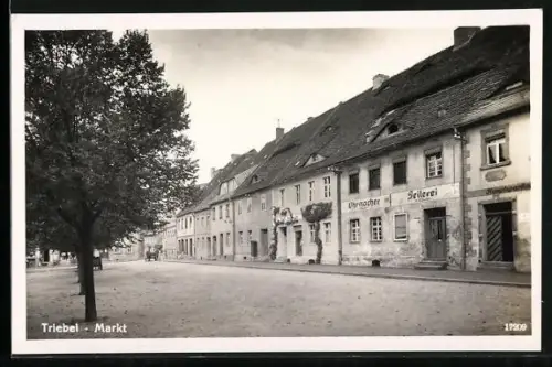 AK Triebel, Uhrmacher am Markt