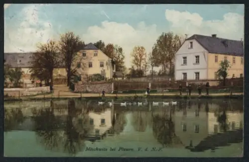 AK Möschwitz bei Plauen, Teich mit Schwänen