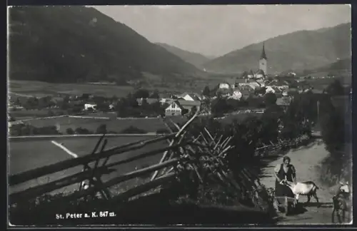 AK St. Peter a. K., Ortsansicht mit Landstrasse, Bäuerin mit Ziegen
