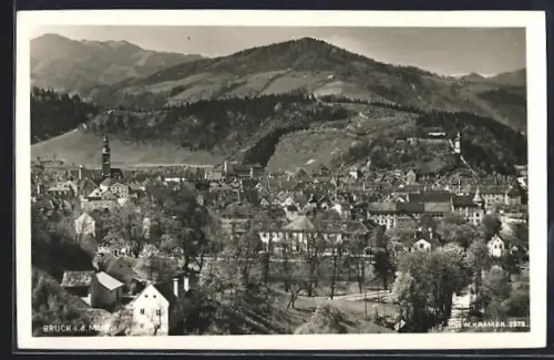 AK Bruck a. d. Mur, Totalansicht mit Gipfelpanorama