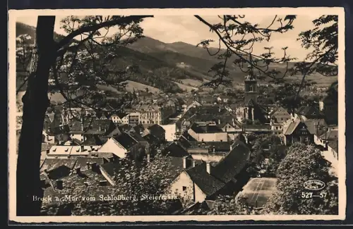 AK Bruck a. Mur, Blick vom Schlossberg aus