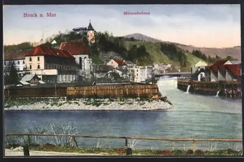 AK Bruck a. Mur, Mürzmündung
