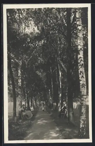 AK Bad Einöd, Partie der Birken-Allee