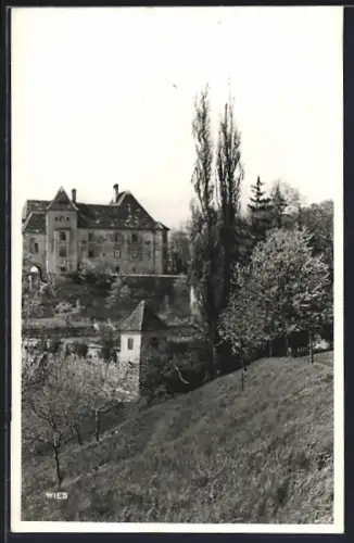 AK Wies, Blick auf das Schloss