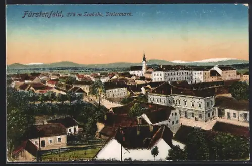 AK Fürstenfeld, Blick über die Dächer der Stadt