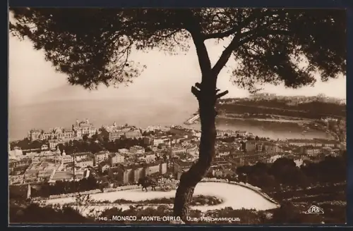 AK Monte-Carlo /Monaco, Vue Paronamique