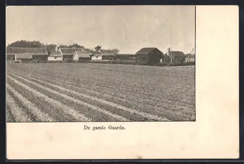 AK Aarhus, Den gamle Gaarde, Panorama