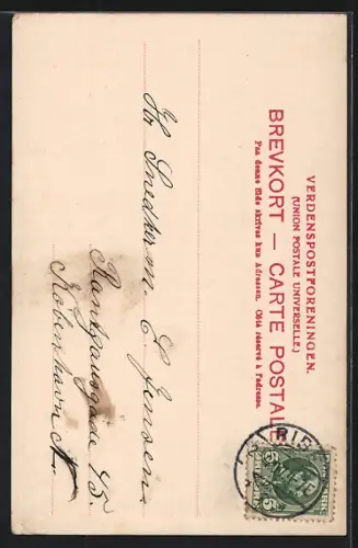 AK Ribe, Puggaardsgade med den gamle Bispegaard