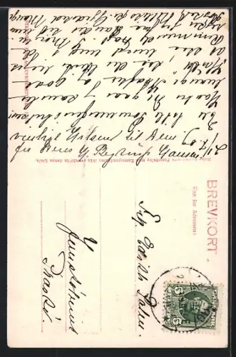 AK Aalborg, Ellen Marsvins Hus