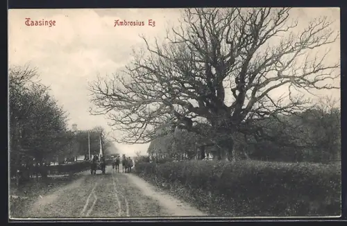 AK Taasinge, Ambrosius Eg