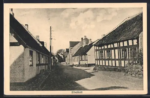 AK Ebeltoft, Parti